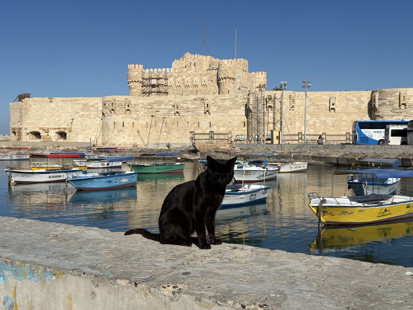 卡特贝城堡与港口黑猫