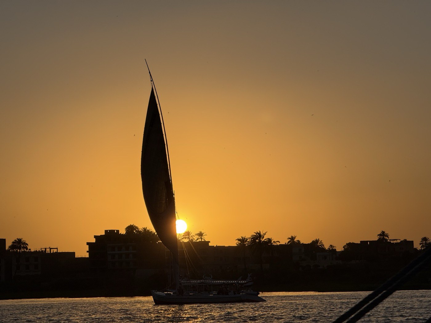 尼罗河帆船日落